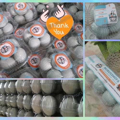 Hampers Telur Asin Karangmojo