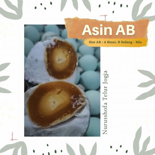 Telur Asin Murah Danurejan