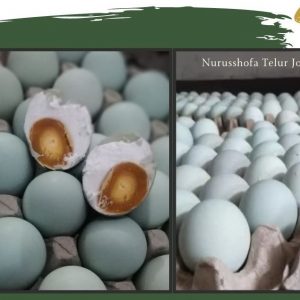 Telur Asin Murah Gedongtengen