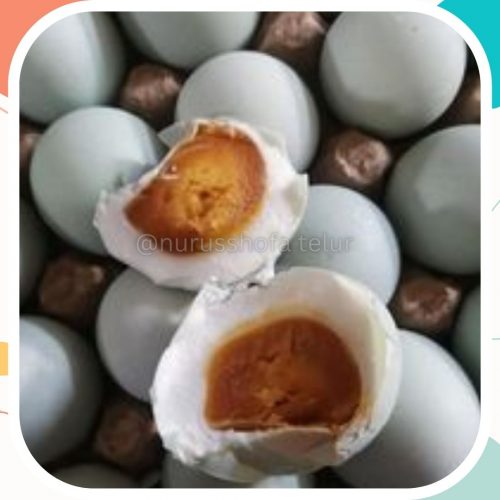 Telur Asin Murah Moyudan
