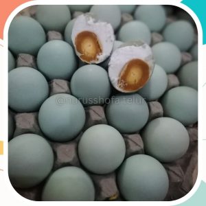 Telur Asin Murah Pakualaman