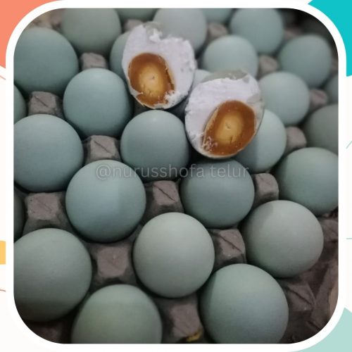 Telur Asin Murah Pakualaman
