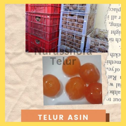 elur Asin Murah Pundong