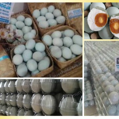 Hampers Telur Asin Gondokusuman
