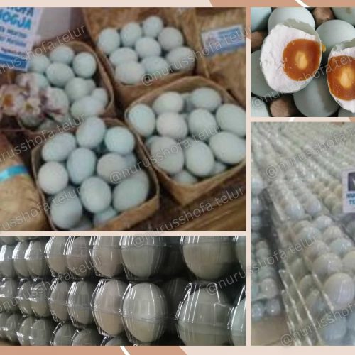 Hampers Telur Asin Rongkop