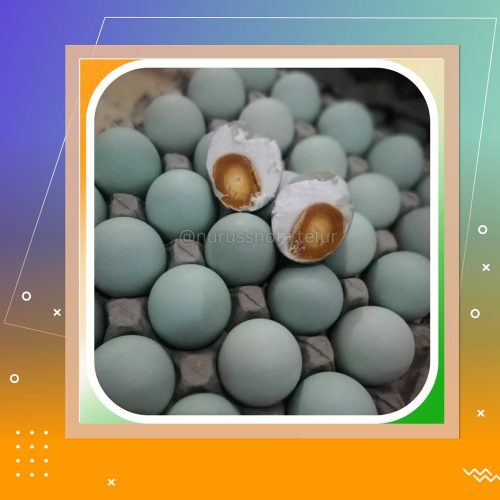 Telor asin Murah Paliyan